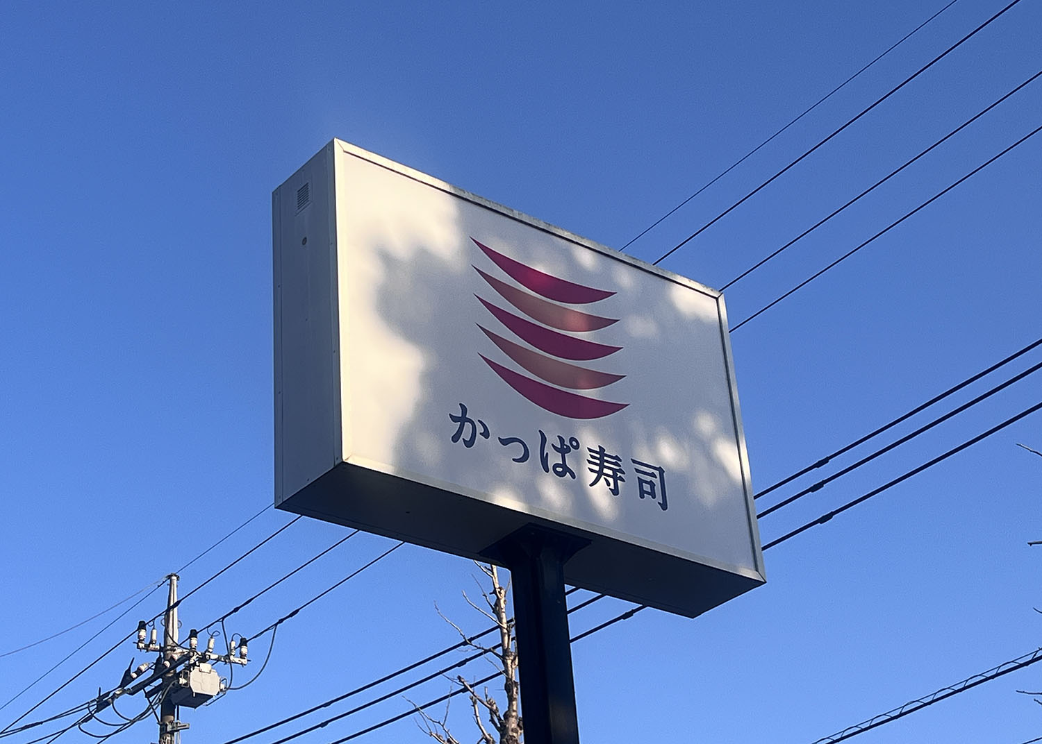 かっぱ寿司のテイクアウトメニューで自宅で回転寿司を楽しもう！