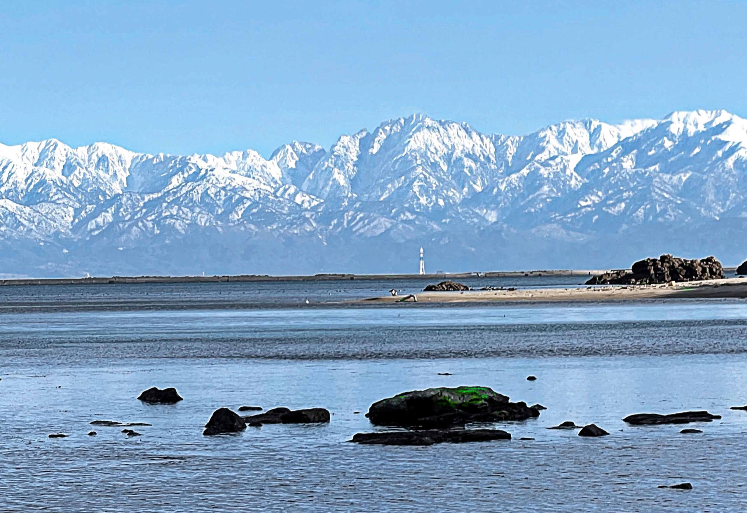 富山の魚介が豊富でおいしい理由